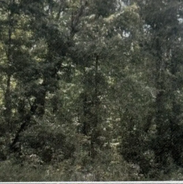 0 Shiloh Rd, Beechgrove, TN 37018
