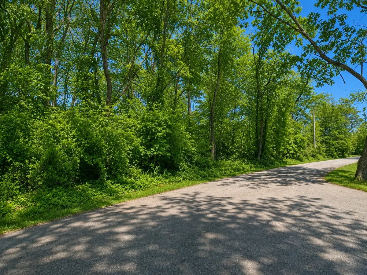 5156 Batchelor St, Clarksville, TN 37043