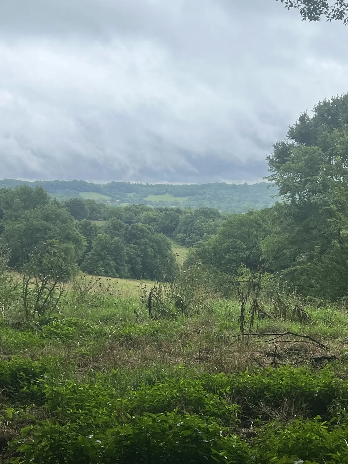 127 McBurg Rd, Frankewing, TN 38459