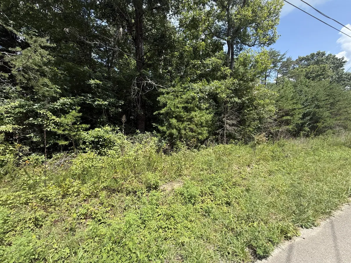 425 Woodland Avenue, Altamont, TN 37301