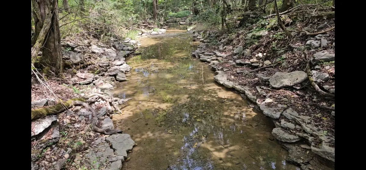 0 Whitfield Hollow Road, Readyville, TN 37149