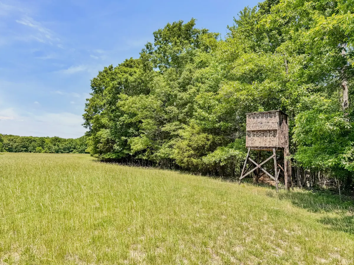 0 Johnson Rd, Lutts, TN 38471