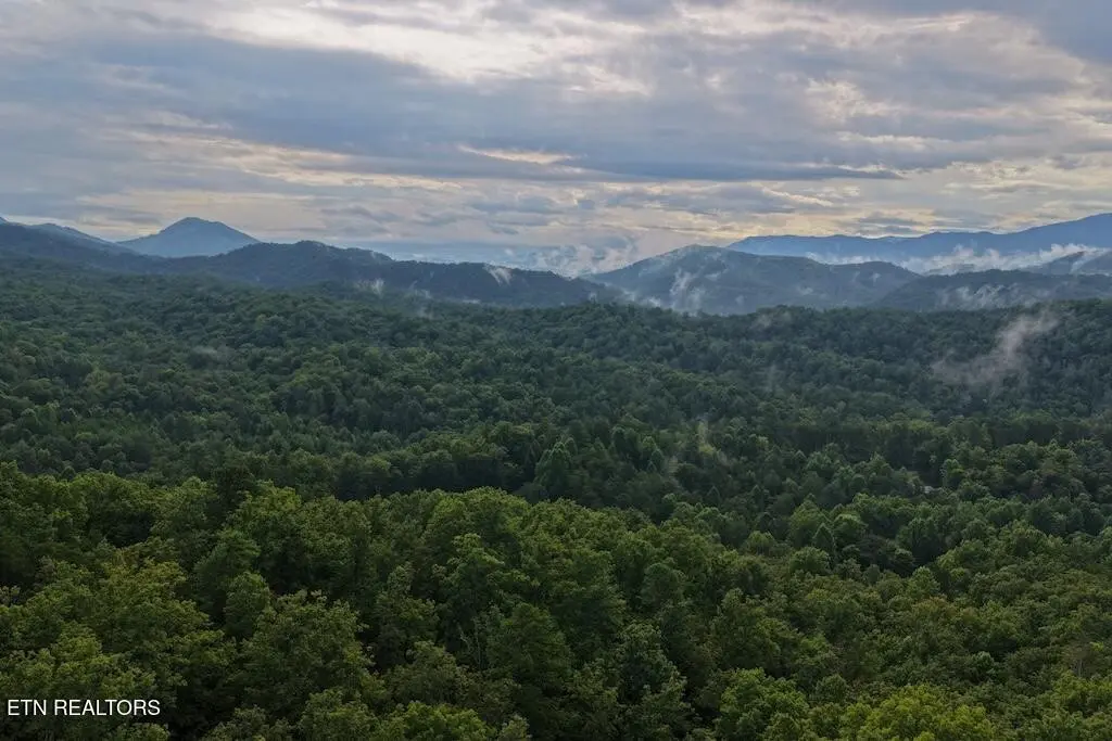 0 Shady Oaks Way, Sevierville, TN 37876