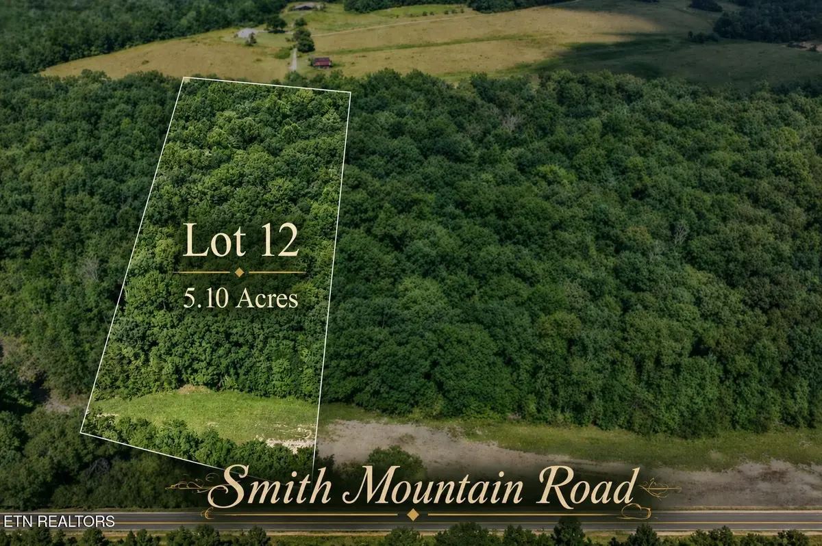 12 Smith Mountain Rd, Rockwood, TN 37854
