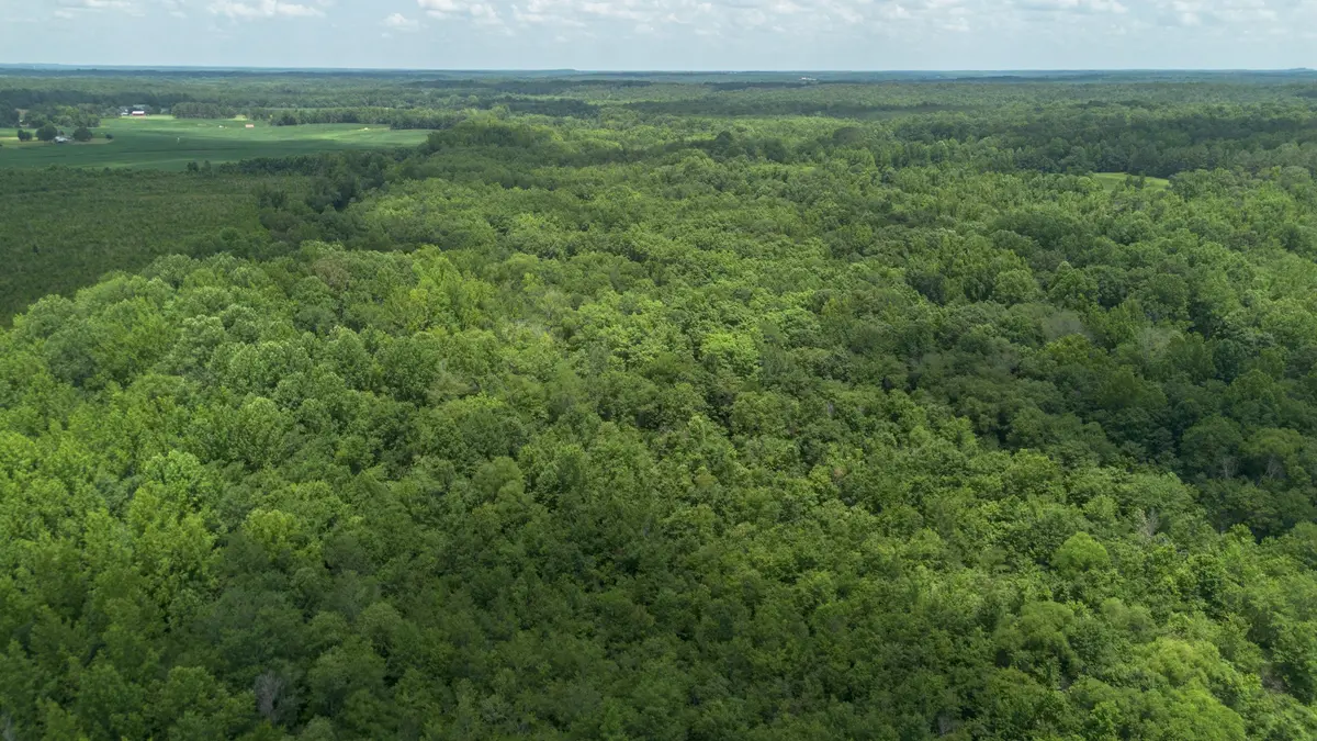 0 Smith Rd, Finger, TN 38334