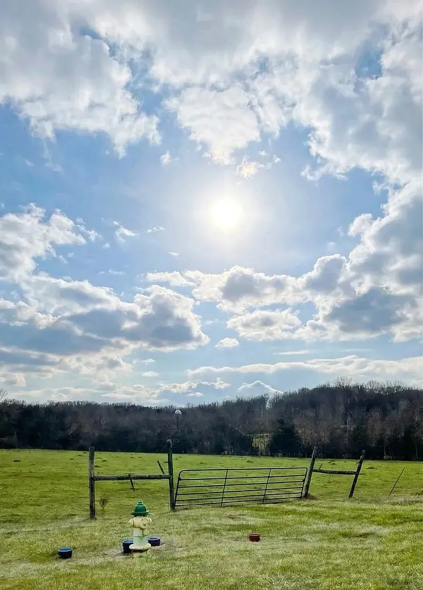 0 Panther Creek Rd, Christiana, TN 37037