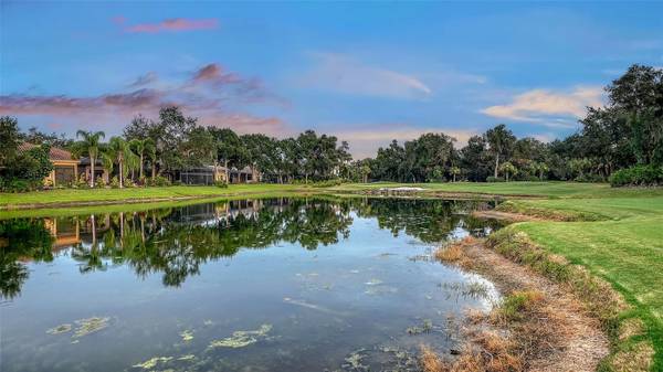12302 THORNHILL CT, Lakewood Ranch, FL, 34202 photo 70