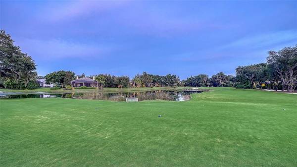 12302 THORNHILL CT, Lakewood Ranch, FL, 34202 photo 63