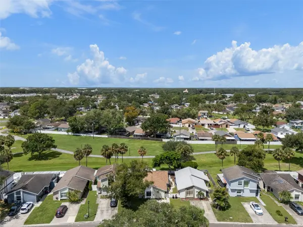10318 ROSEMOUNT DR, Tampa, FL 33624
