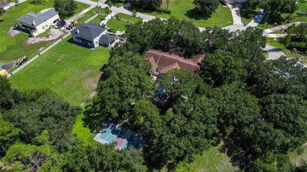 12511 PALOMINO CT, Tampa, FL, 33626 photo 74