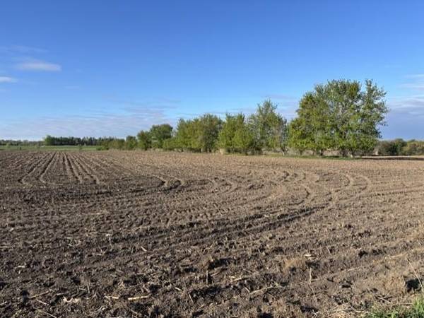 TBD Island Estates (site 12) DR NW, Pine Island, MN 55963