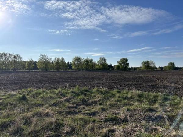 TBD Island Estates (site 12) DR NW, Pine Island, MN 55963