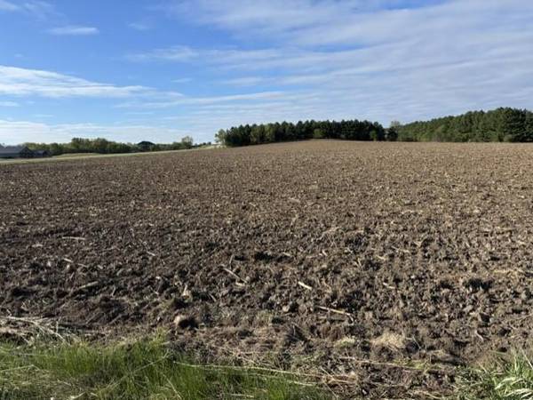 TBD Pine Bluff (site 15) RD NW, Pine Island, MN 55963