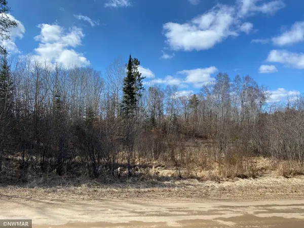TBD (L11,B2) Grant Hills RD SW, Bemidji, MN 56601