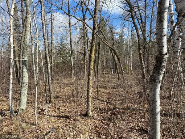 TBD (L11,B2) Grant Hills RD SW, Bemidji, MN 56601