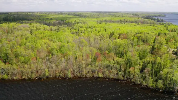 Parcel A S Niles Bay Forest Road, Orr, MN 55771