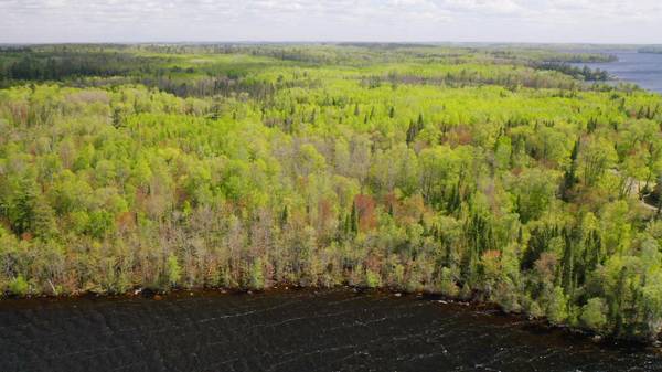 Parcel A S Niles Bay Forest Road, Orr, MN 55771