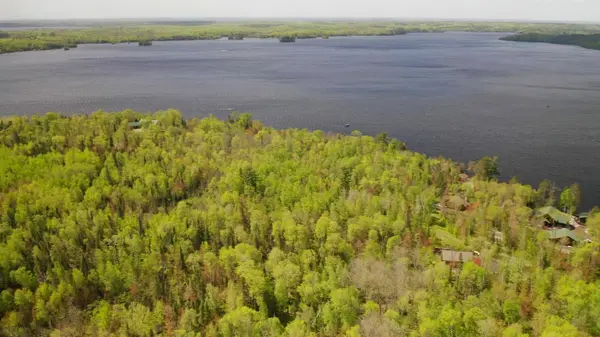 Parcel A S Niles Bay Forest Road, Orr, MN 55771