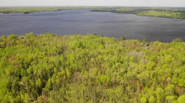 Parcel B S Niles Bay Forest Road, Orr, MN 55771