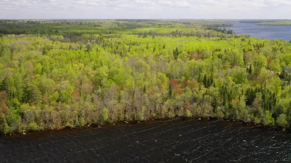 Parcel B S Niles Bay Forest Road, Orr, MN 55771