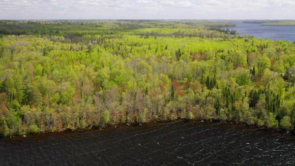 Parcel B S Niles Bay Forest Road, Orr, MN 55771