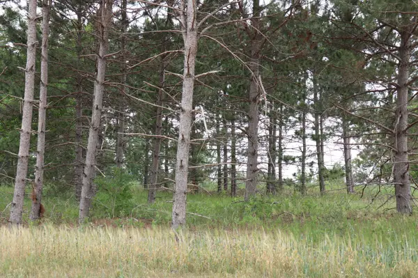 1913 Long Pine DR, Detroit Lakes, MN 56501