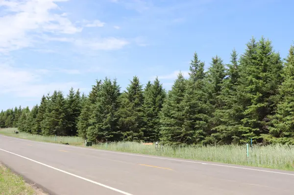 1960 Long Prairie LN, Detroit Lakes, MN 56501