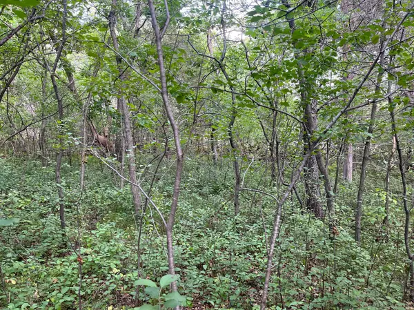 23xxx 182nd ST, Big Lake, MN 55309