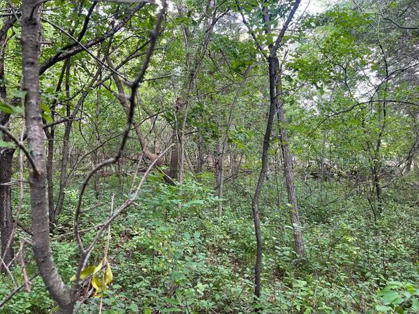 23xxx 182nd ST, Big Lake, MN 55309