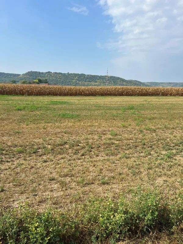 1510 River DR S, Wabasha, MN 55981