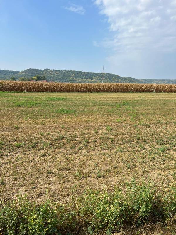 1510 River DR S, Wabasha, MN 55981