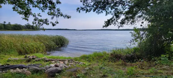 7280 County Road 8 NE, Longville, MN 56655