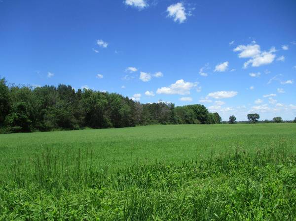 6822 Oneka Lake Blvd N, Hugo, MN 55038