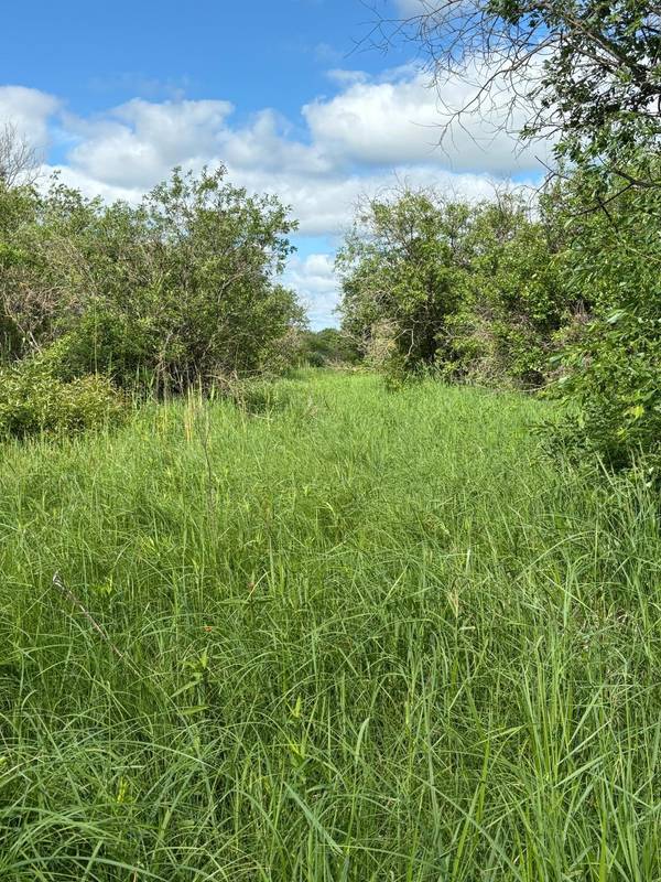 TBD County Road 7, Bagley, MN 56621