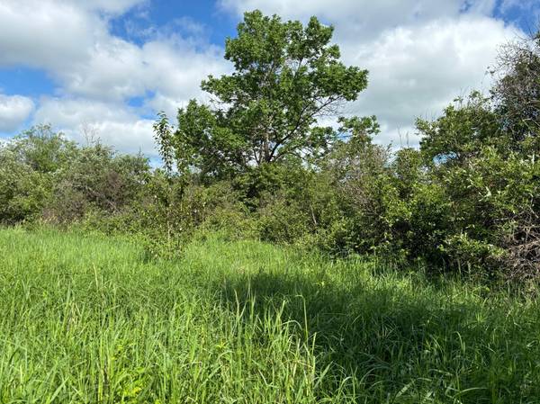 TBD County Road 7, Bagley, MN 56621
