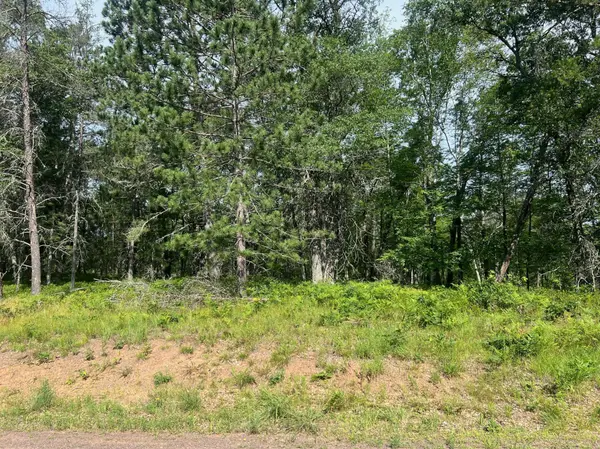 Lot 66 Three Mile RD, Danbury, WI 54830