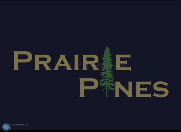 212 PINE DR, Hankinson, ND 58041
