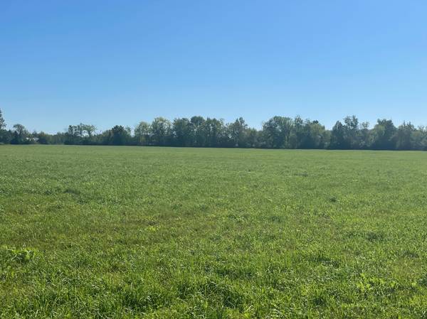 xxx 140th, Foreston, MN 56330