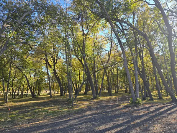 Tract B Blybergs Lane, Pelican Rapids, MN 56572