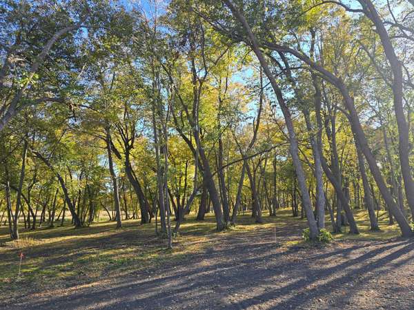 Tract B Blybergs Lane, Pelican Rapids, MN 56572