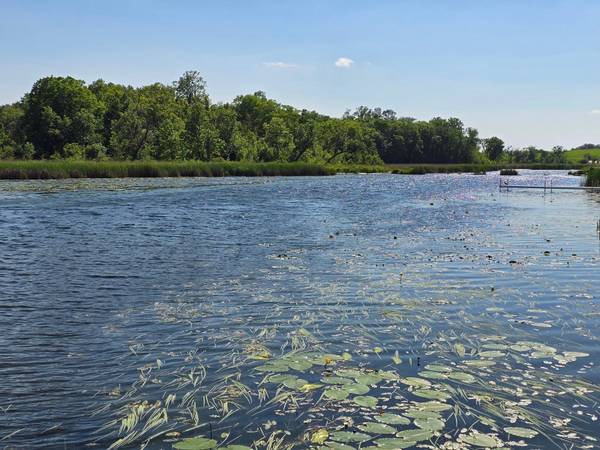 Tract F Blybergs Lane, Pelican Rapids, MN 56572
