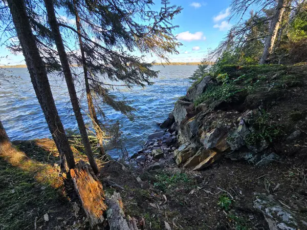 Tract 8 Brush Island, Angle Inlet, MN 56711