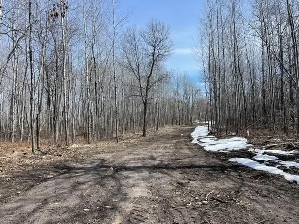 TBD Lot 5 New Manz DR, Lake George, MN 56458