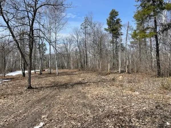 TBD Lot 6 New Paradise Point DR, Lake George, MN 56458