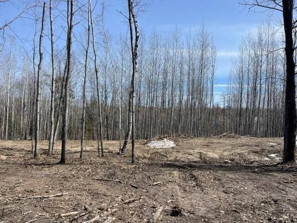 TBD Lot 6 New Paradise Point DR, Lake George, MN 56458