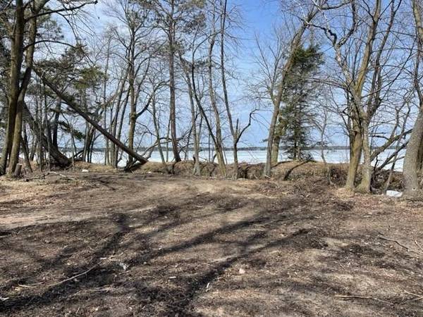 TBD Parcel D New Paradise Point DR, Lake George, MN 56458