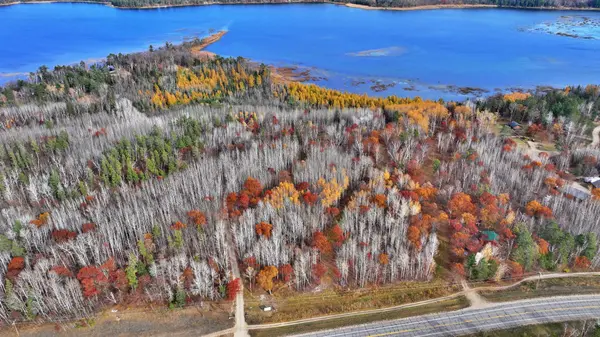 TBD New Paradise Point Drive - Lot 8, Lake George, MN 56458
