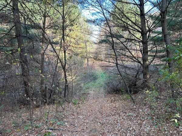 1888 80th ST, Somerset, WI 54025