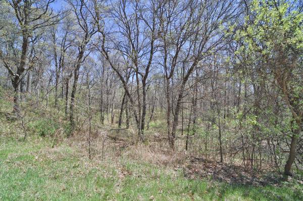TBD Cedar St, Breezy Point, MN 56472