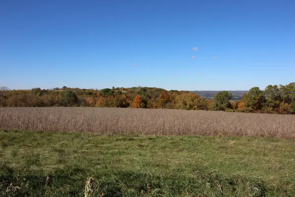 Lot 14 706th ST, Wabasha, MN 55981